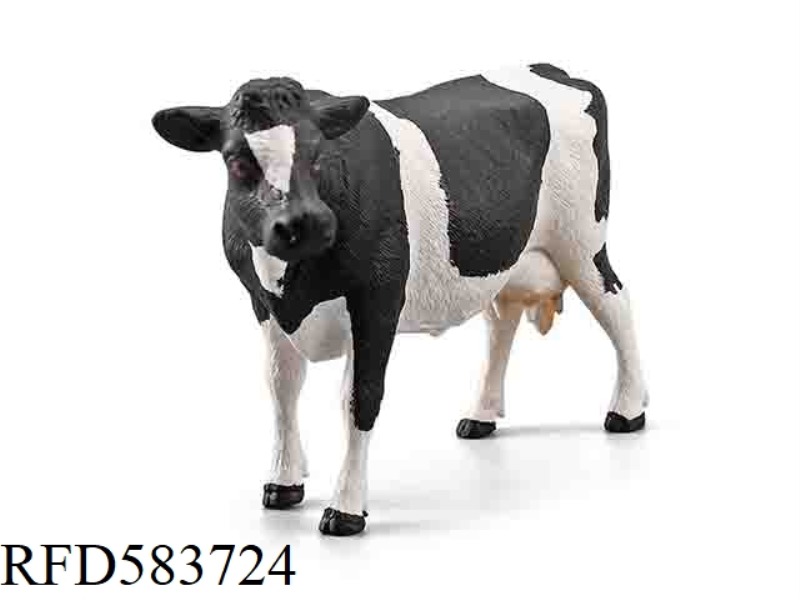 COW BLACK FOOT