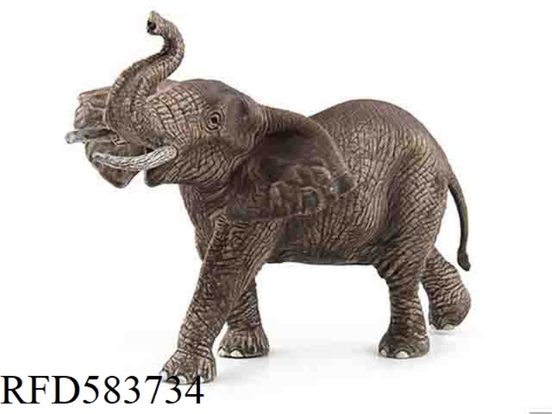 AFRICAN ELEPHANT