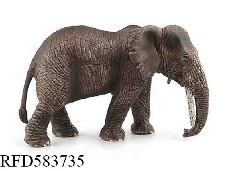 AFRICAN FEMALE ELEPHANT