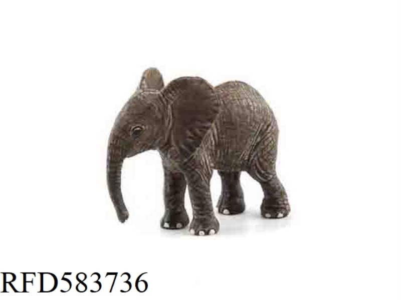 AFRICAN ELEPHANT