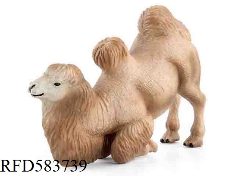 TUHUANG CAMEL