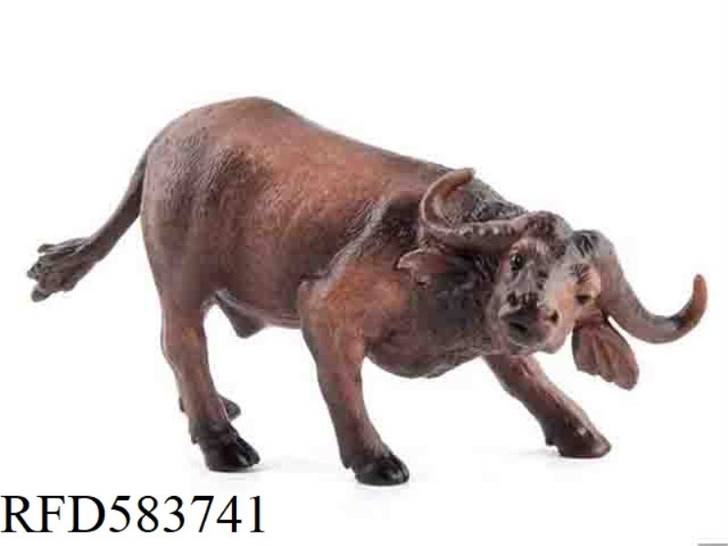 AFRICAN BUFFALO