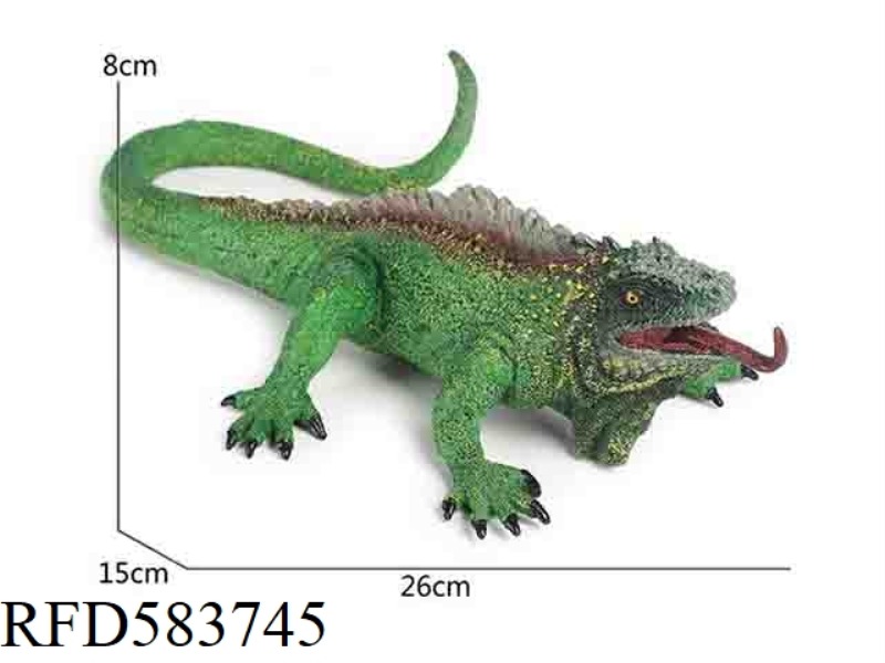 LIZARD