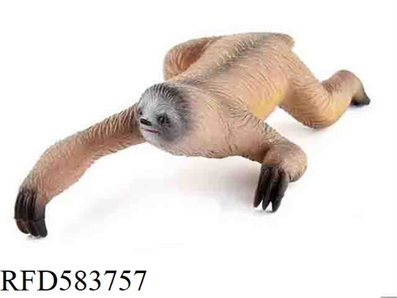 SLOTH