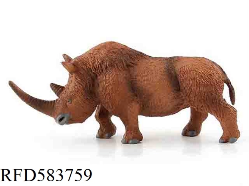 HAIRY RHINOCEROS