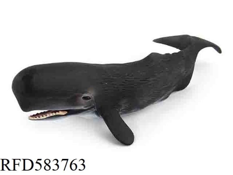 SWEET WHALE