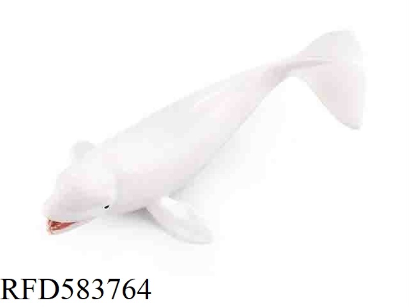 WHITE WHALE