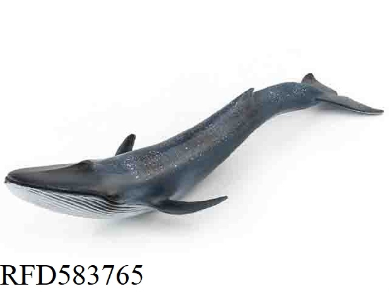 BLUE WHALE