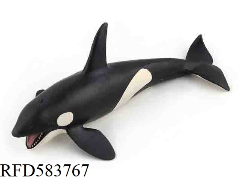 KILLER WHALE