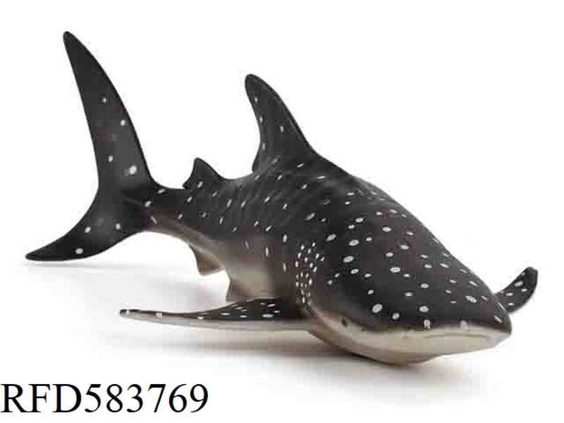 HORNED SHARK