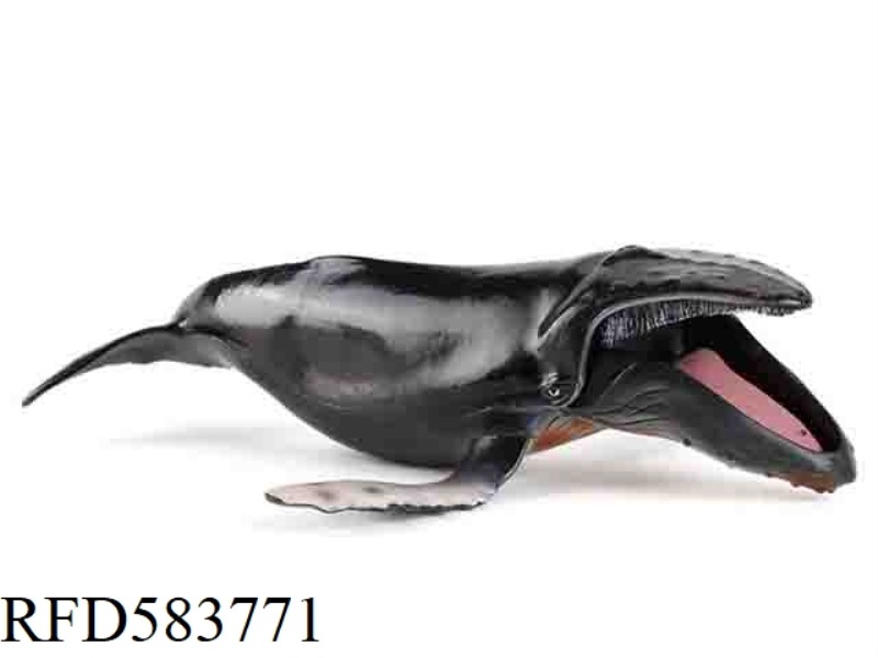 HUMPBACK