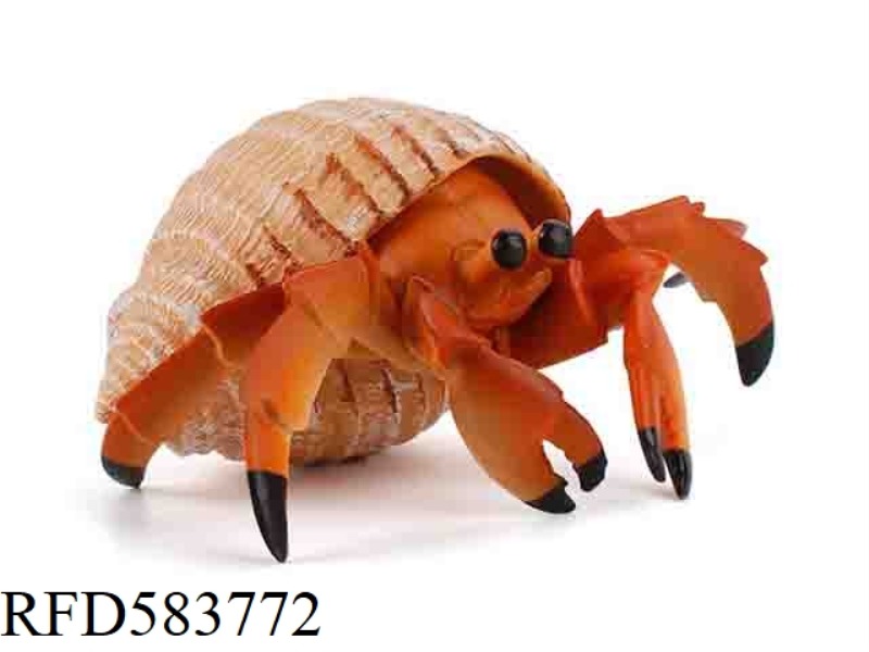 LIVING CRAB