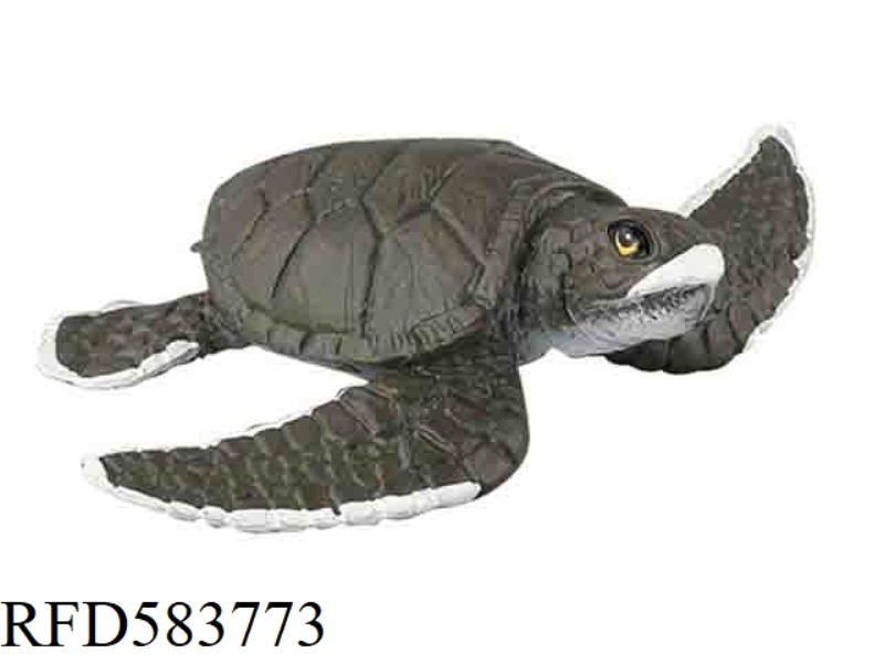 GREEN TURTLE