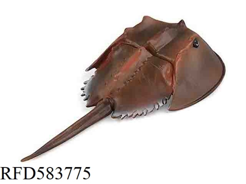 KING/HORSESHOE CRAB