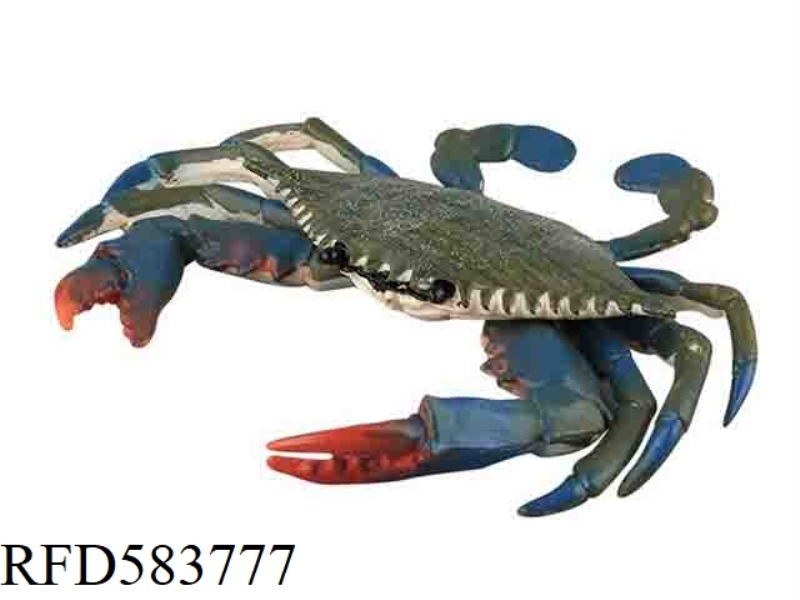 GREEN CRAB