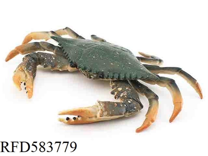 YELLOW CRAB