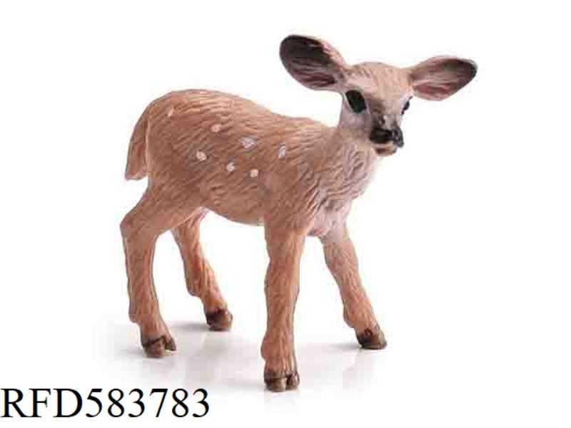SMALL WHITE-TAILED DEER (SMOOTH)