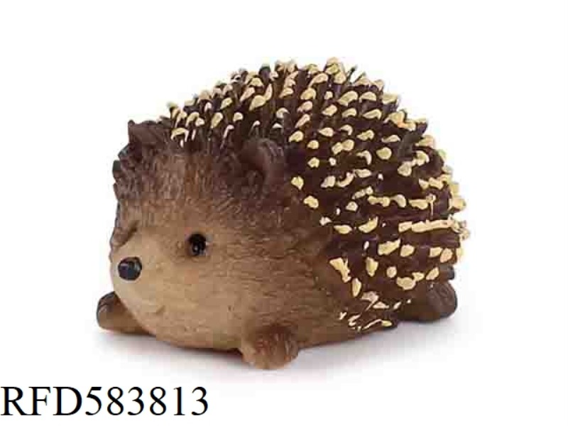 LITTLE HEDGEHOG