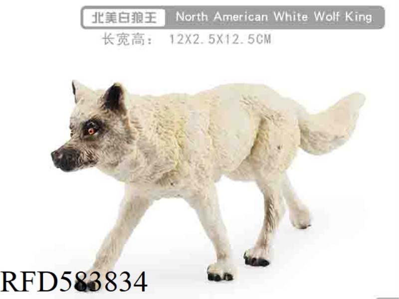 NORTH AMERICAN WHITE WOLF KING