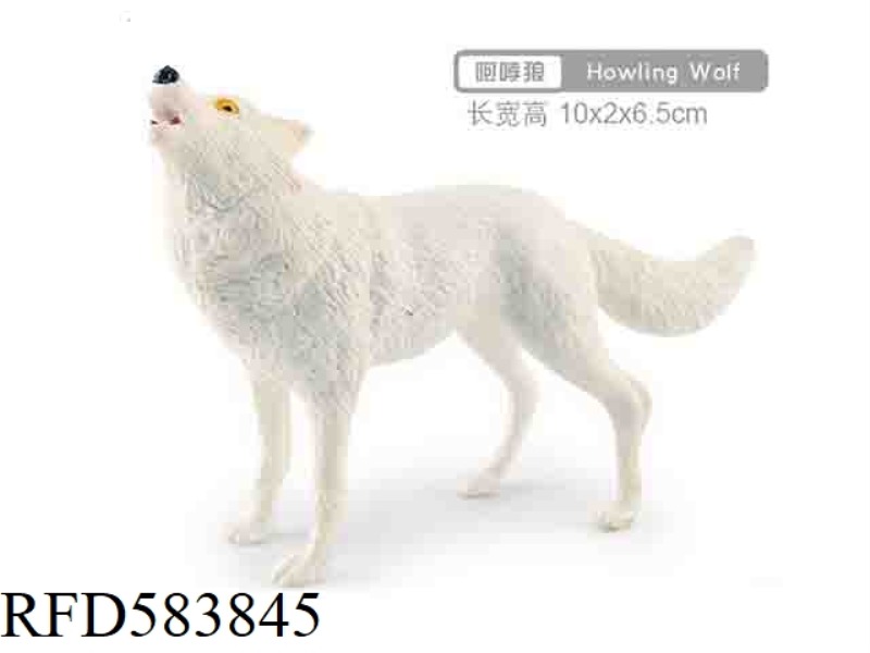HEAD-UP ARCTIC WOLF