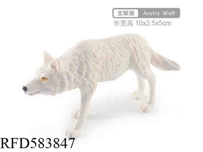 WALKING ARCTIC WOLF