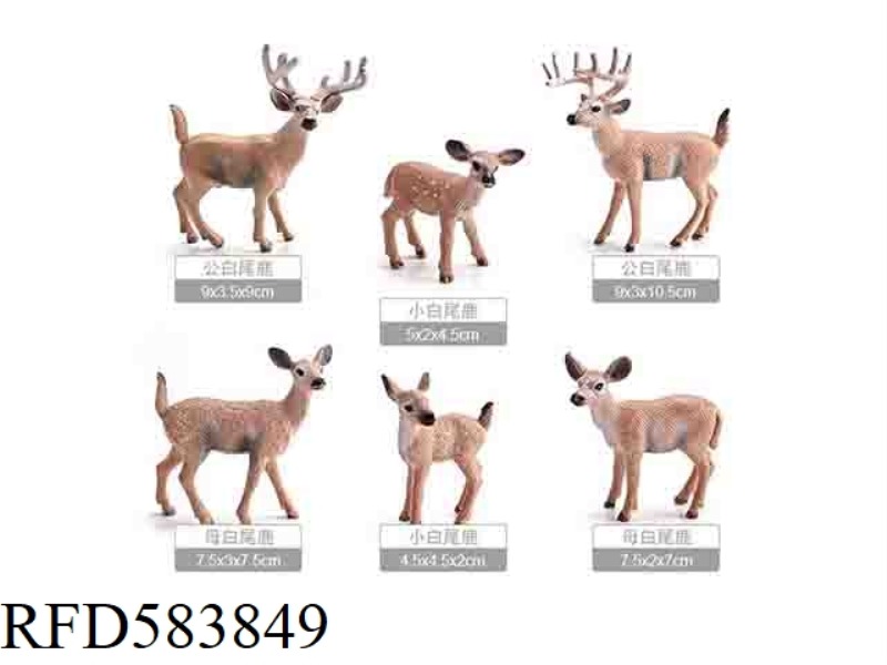 ROUGH-FACED WHITE-TAILED DEER FAMILY [6 SETS]