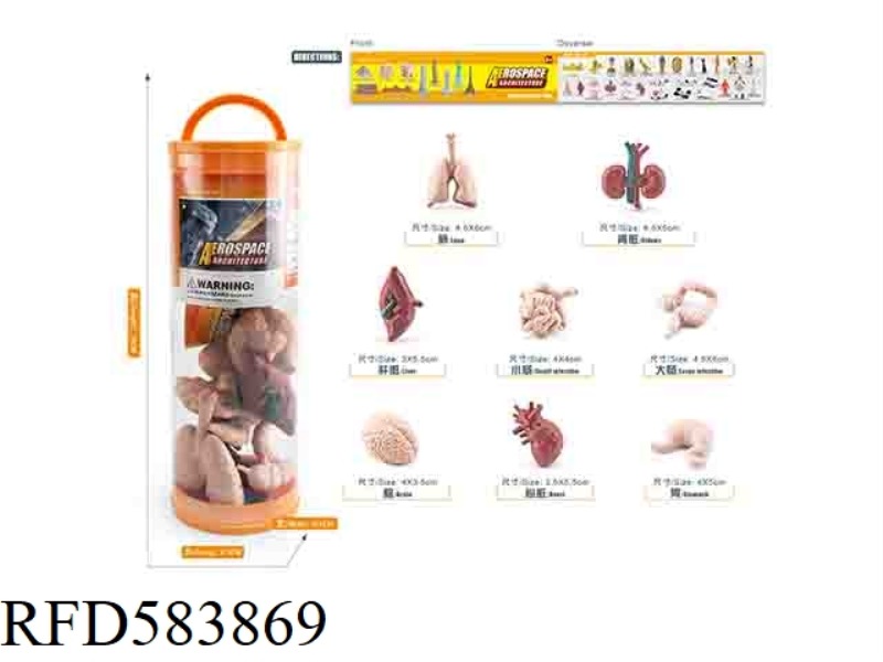 HUMAN ORGAN SUIT