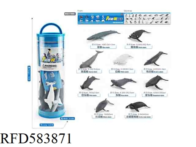 WHALE SUIT