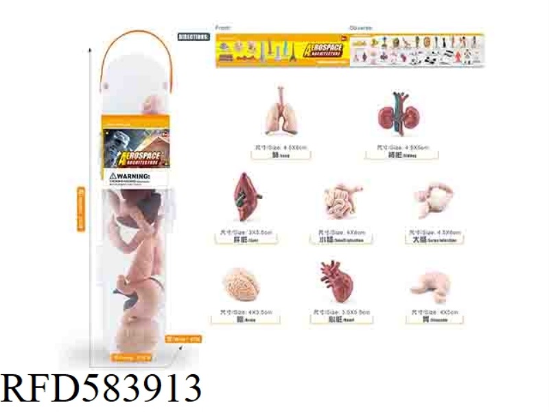 HUMAN ORGAN SUIT
