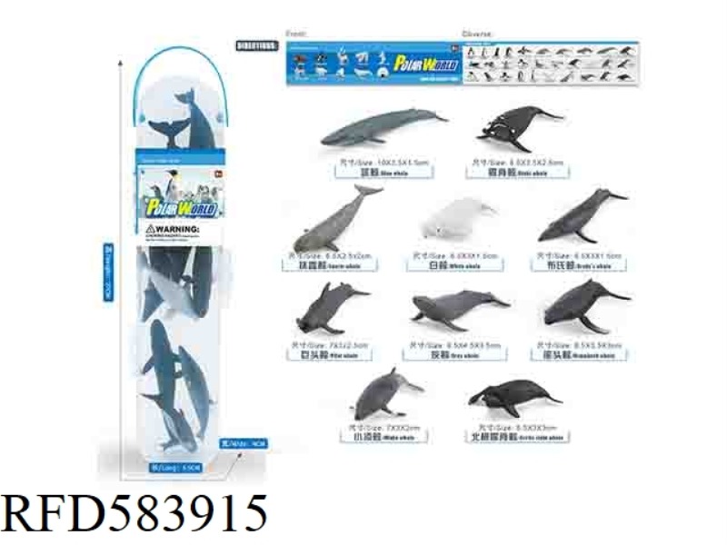 WHALE SUIT
