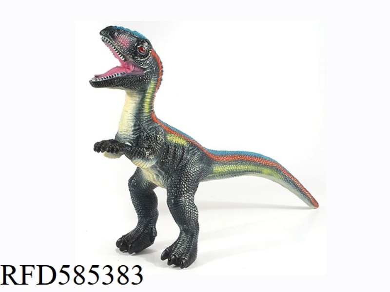 NEW 6 RAPTORS