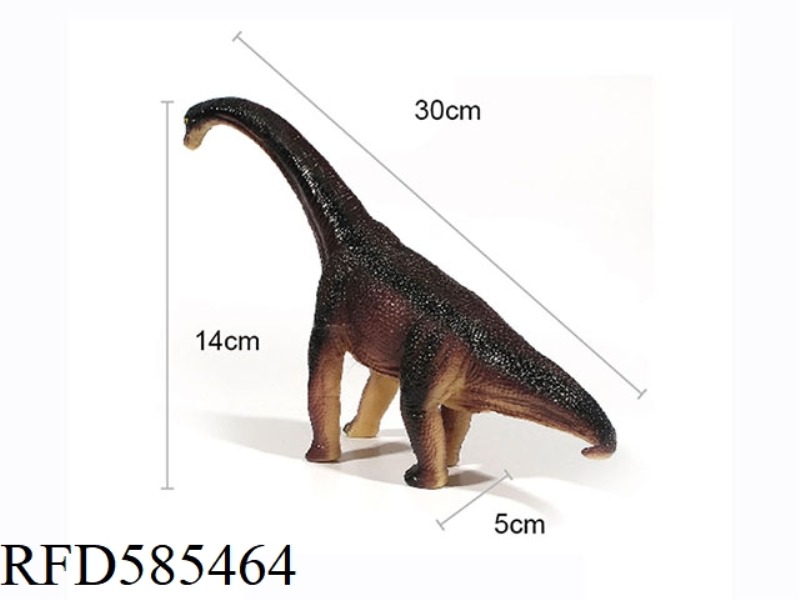 OLD 12 BRACHIOSAURUS