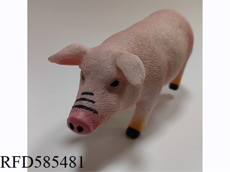 PIG