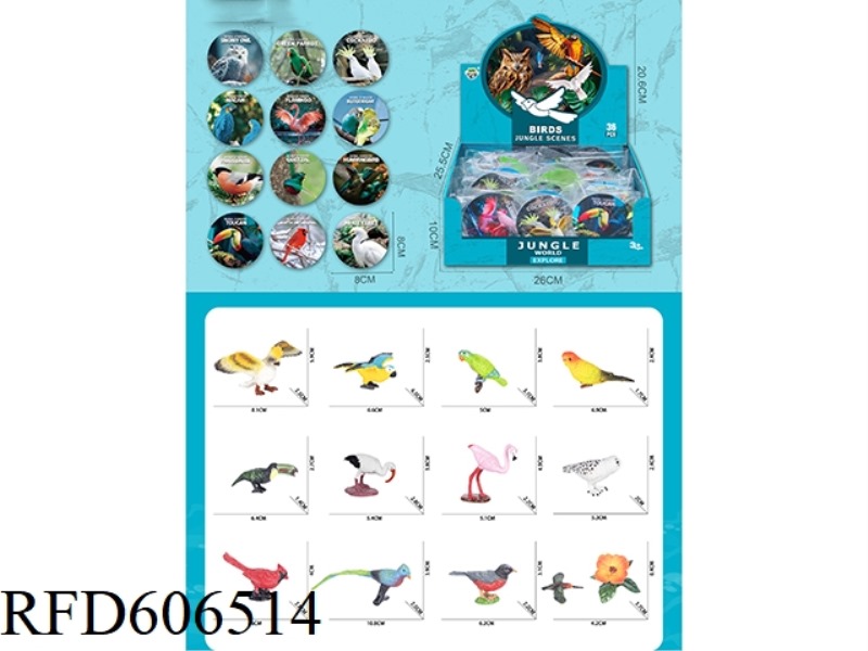 BIRD SERIES (36PCS)
