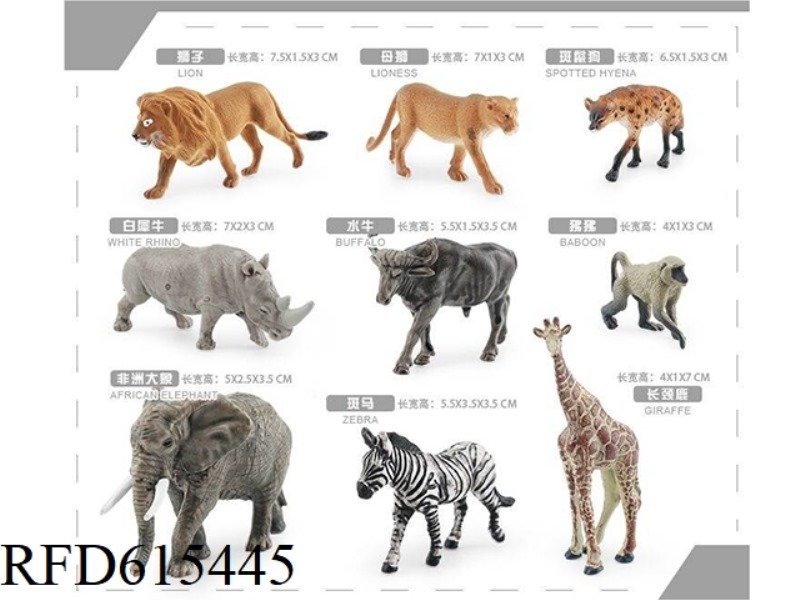 SOUTH AFRICAN ANIMALS