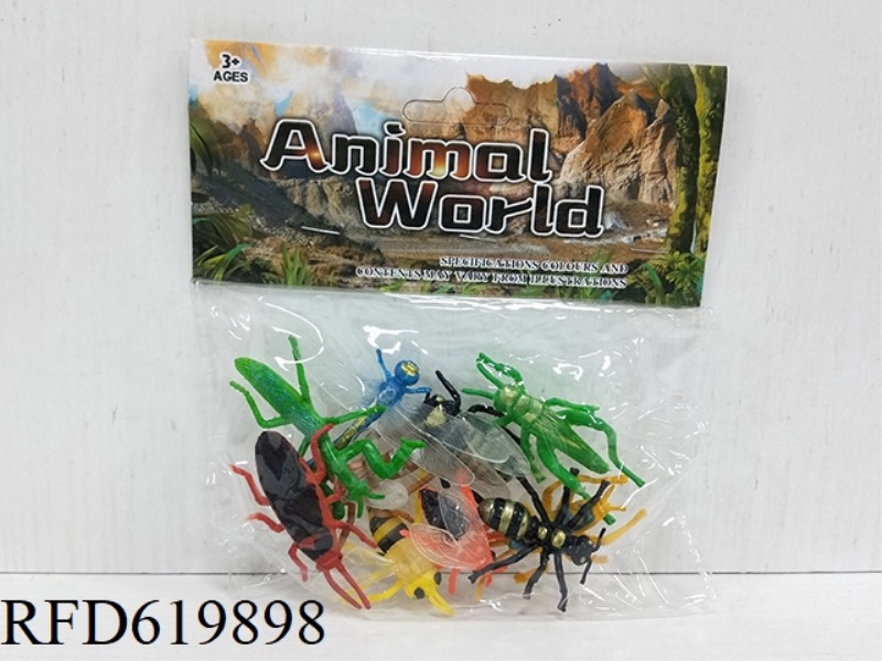 SOLID INSECT ANIMAL