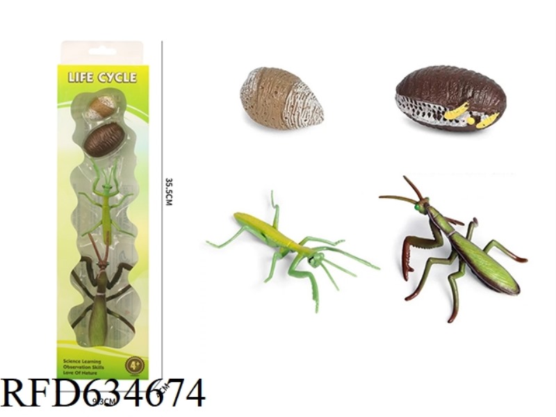 MANTIS GROWTH CYCLE