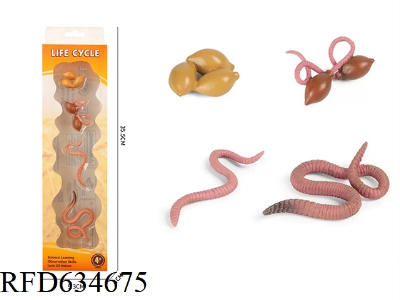 EARTHWORM GROWTH CYCLE