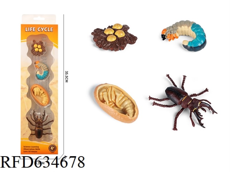 GROWTH CYCLE OF SHOVEL SHAPED INSECTS
