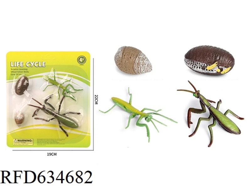 MANTIS GROWTH CYCLE