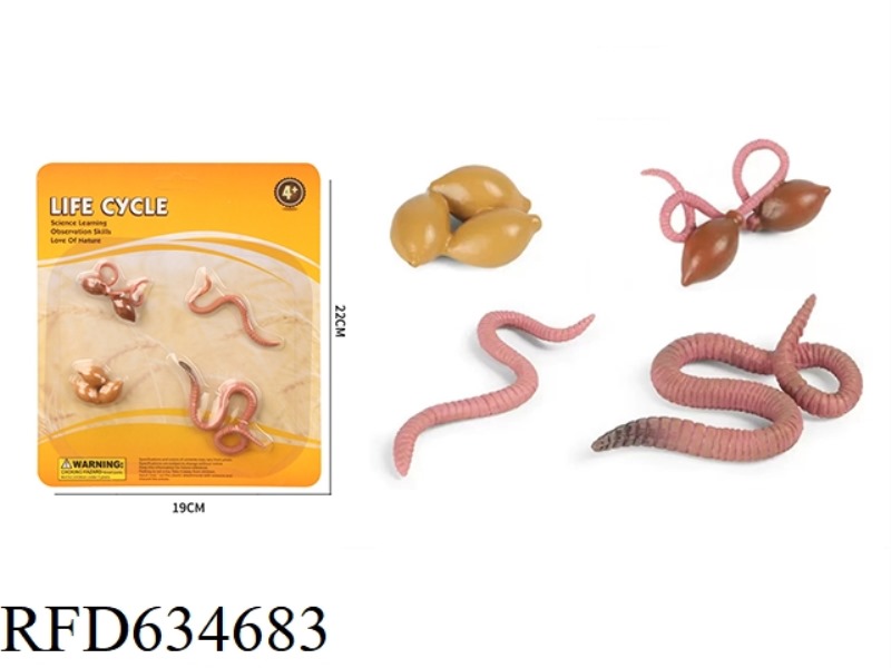 EARTHWORM GROWTH CYCLE