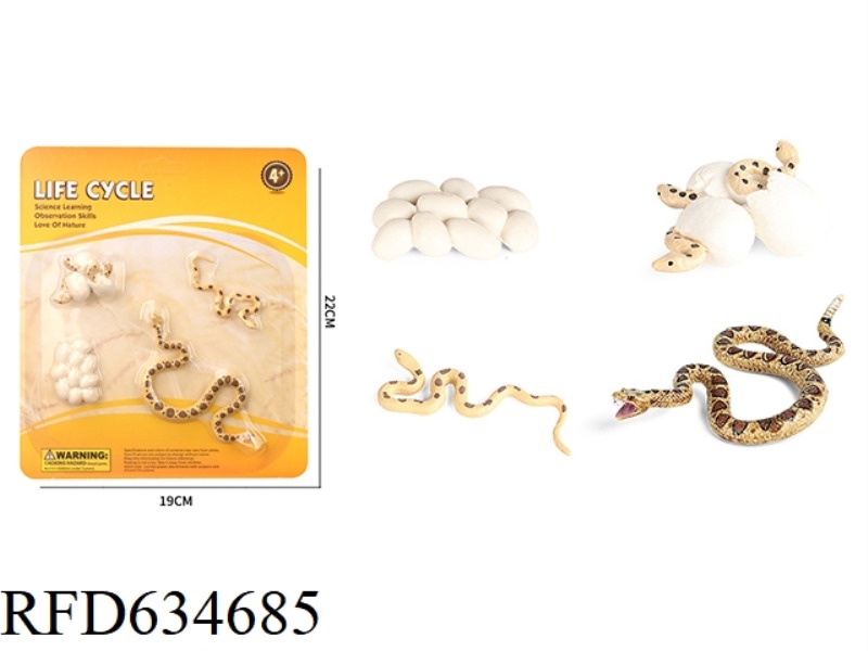 RATTLESNAKE GROWTH CYCLE