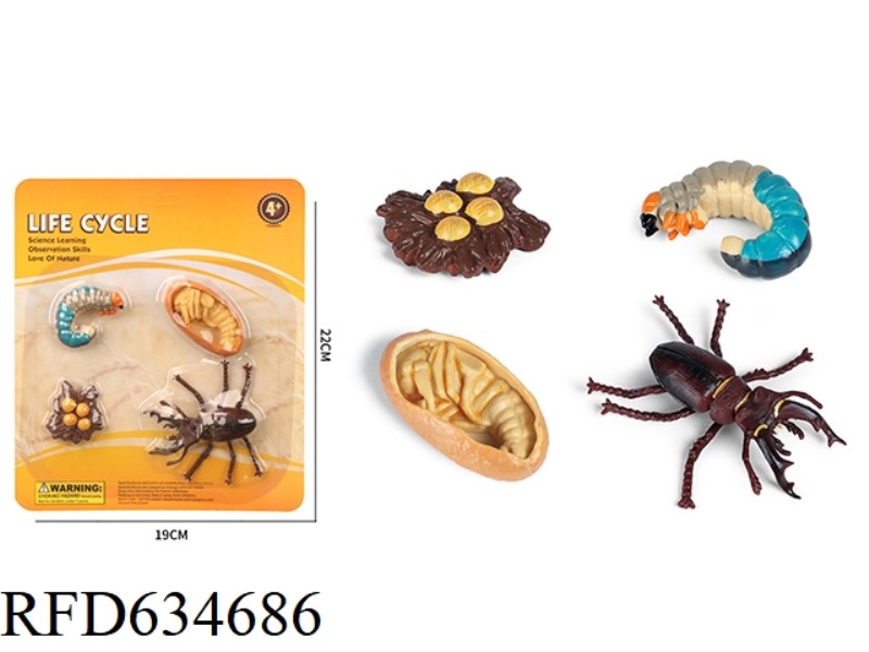 GROWTH CYCLE OF SHOVEL SHAPED INSECTS