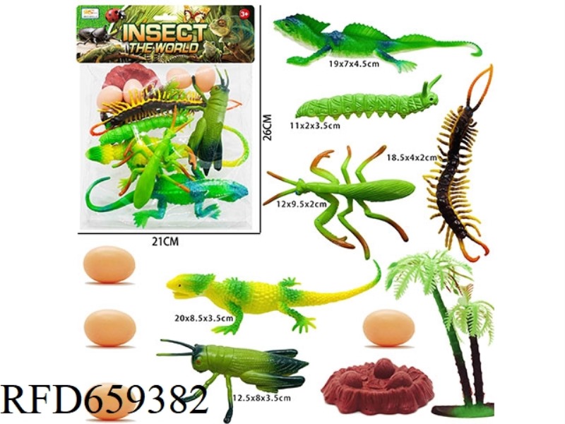 INSECT SCENES (12PCS)