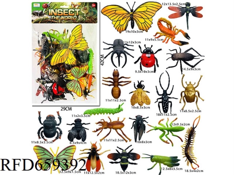 INSECT GIFT PACK (21PCS)