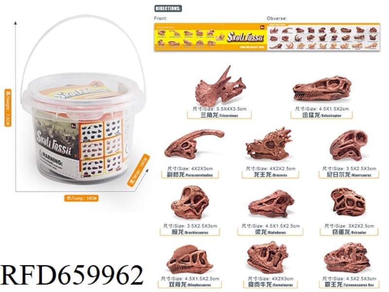 DINOSAUR SKULL SET