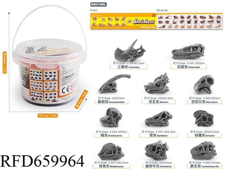 DINOSAUR SKULL SET
