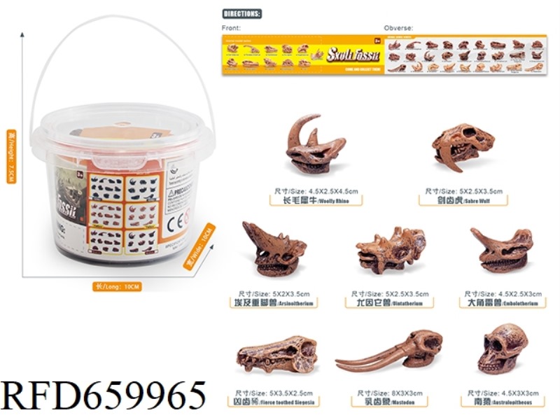 PREHISTORIC ANIMAL SKULL SET