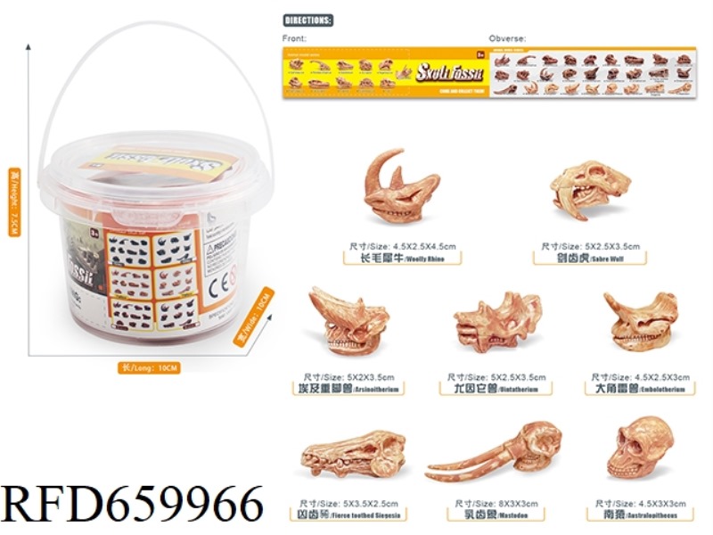 PREHISTORIC ANIMAL SKULL SET