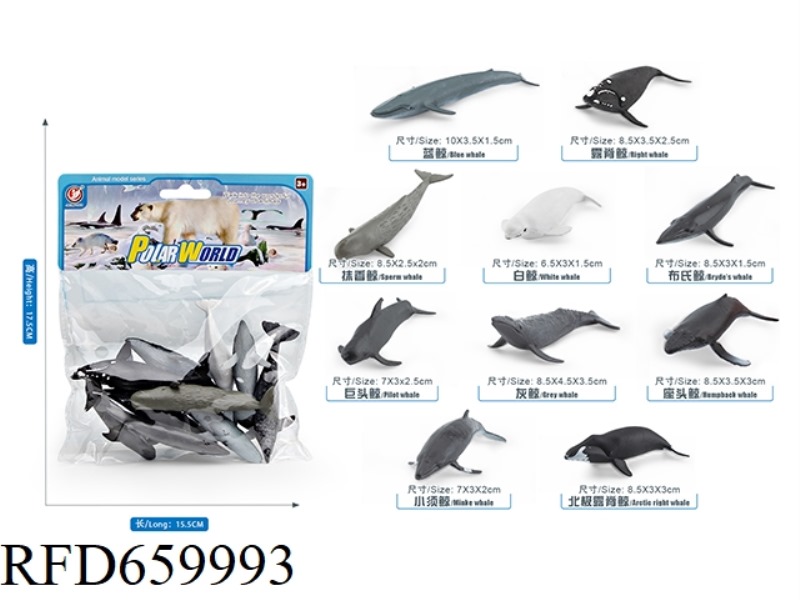 WHALE SUIT